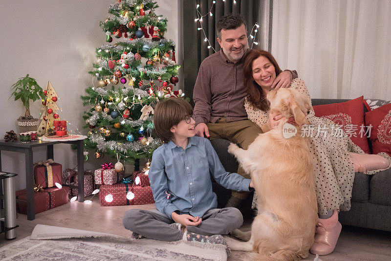 幸福家庭和金毛狗在家里过圣诞节。