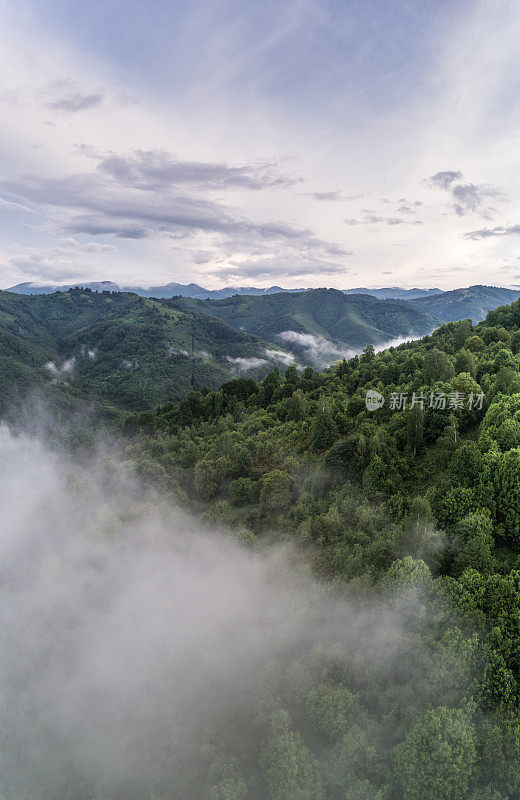 日出时山上有雾，上面是绿色的森林山丘