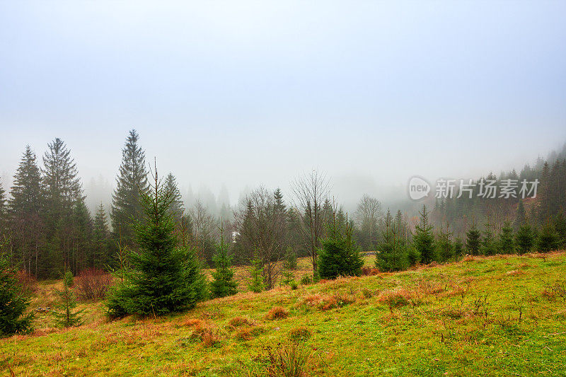 乌克兰,喀尔巴阡山。秋山中晨雾的时间流逝。风景有雪山和流动的雾。