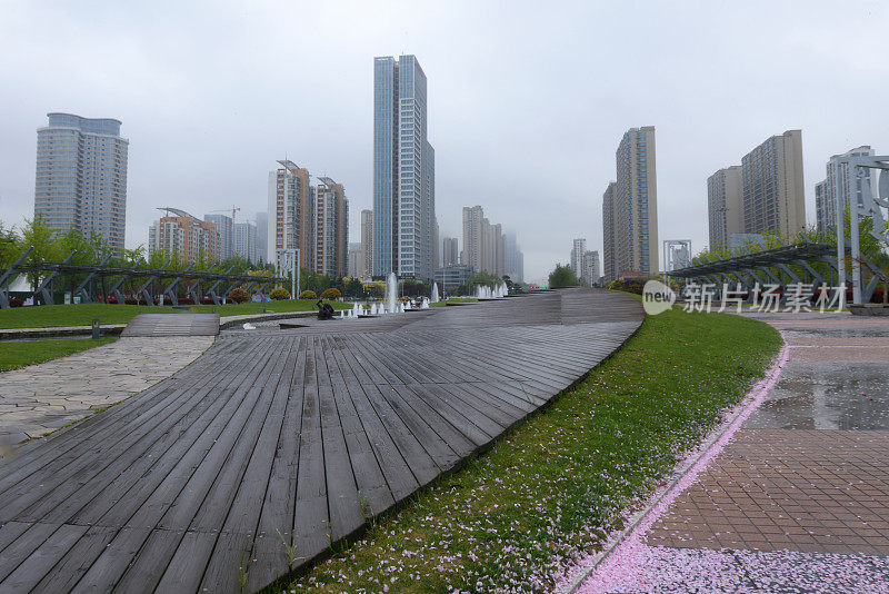 中国山东省日照市，花儿在春雨中绽放