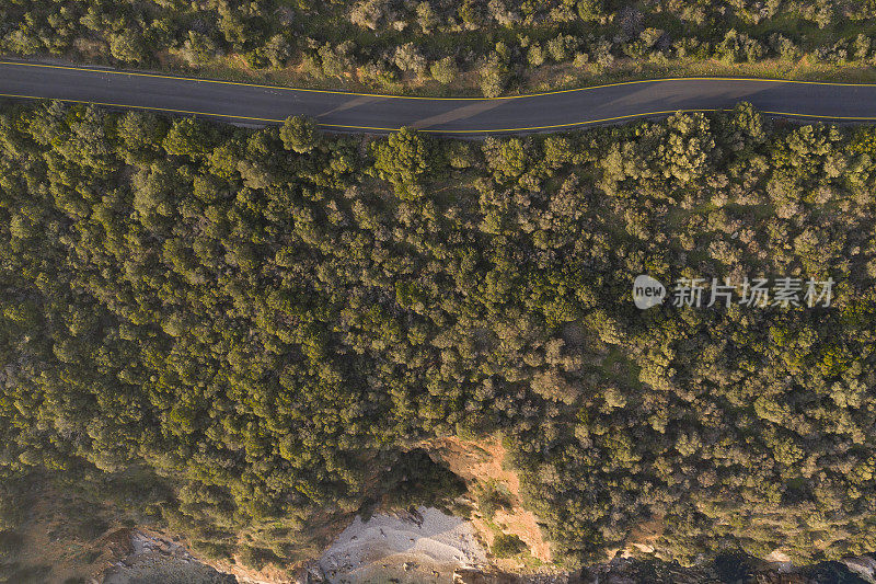 令人惊叹的日落风景在道路，树木和海上鸟瞰