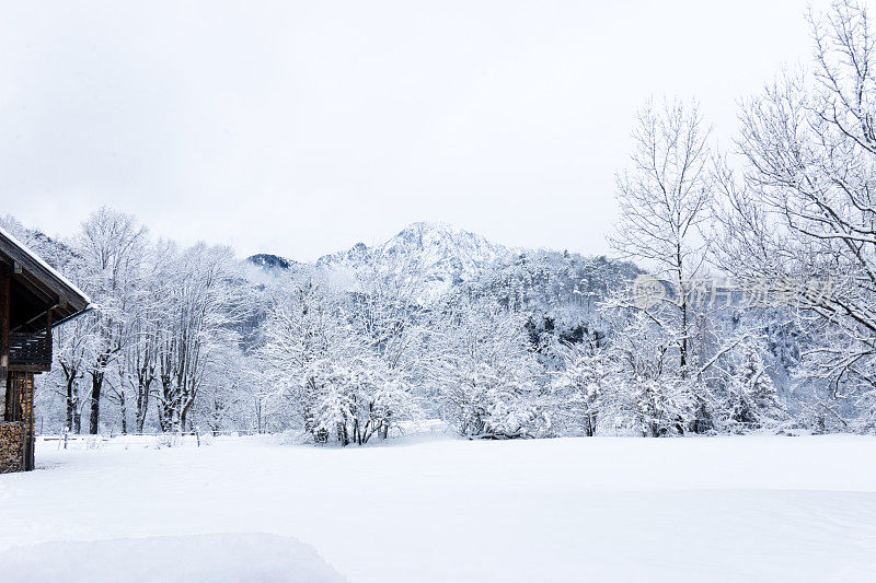 阿尔卑斯山的白雪皑皑的山脊