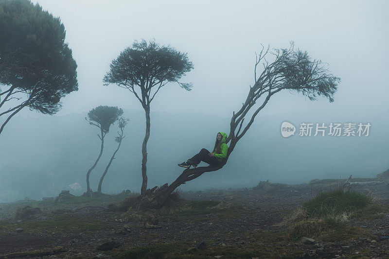 在乞力马扎罗山地区，一个女人的剪影坐在树上