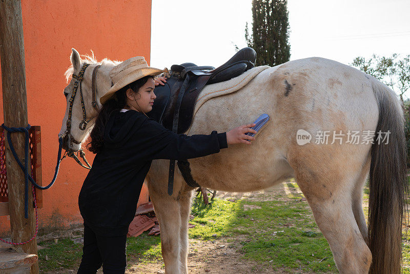 一个十几岁的女孩在马厩里给马洗澡刷毛。