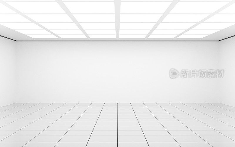 空的白色画廊房间