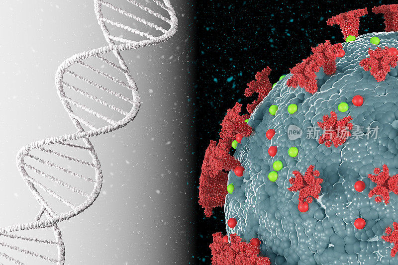 DNA链与冠状病毒分子螺旋。基因突变