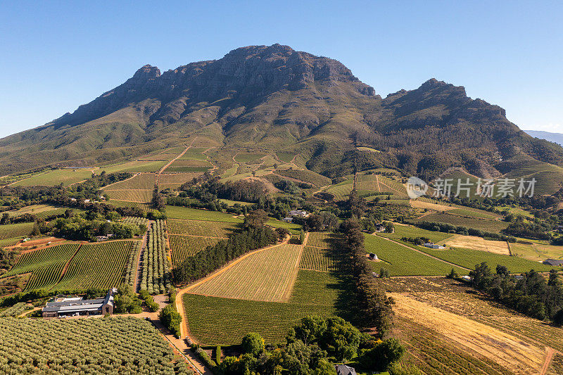 无人机拍摄了Stellenbosch山谷的葡萄园