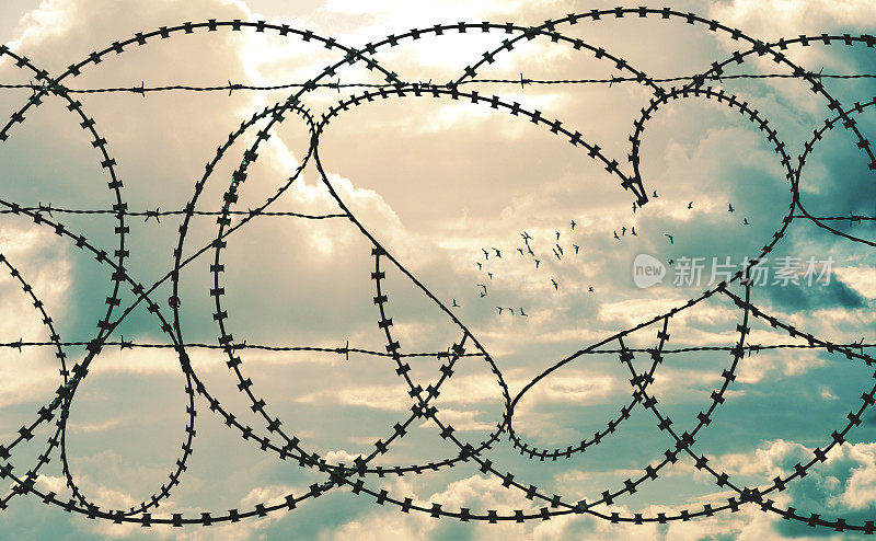 心在铁丝网框架在云景的背景鸟群