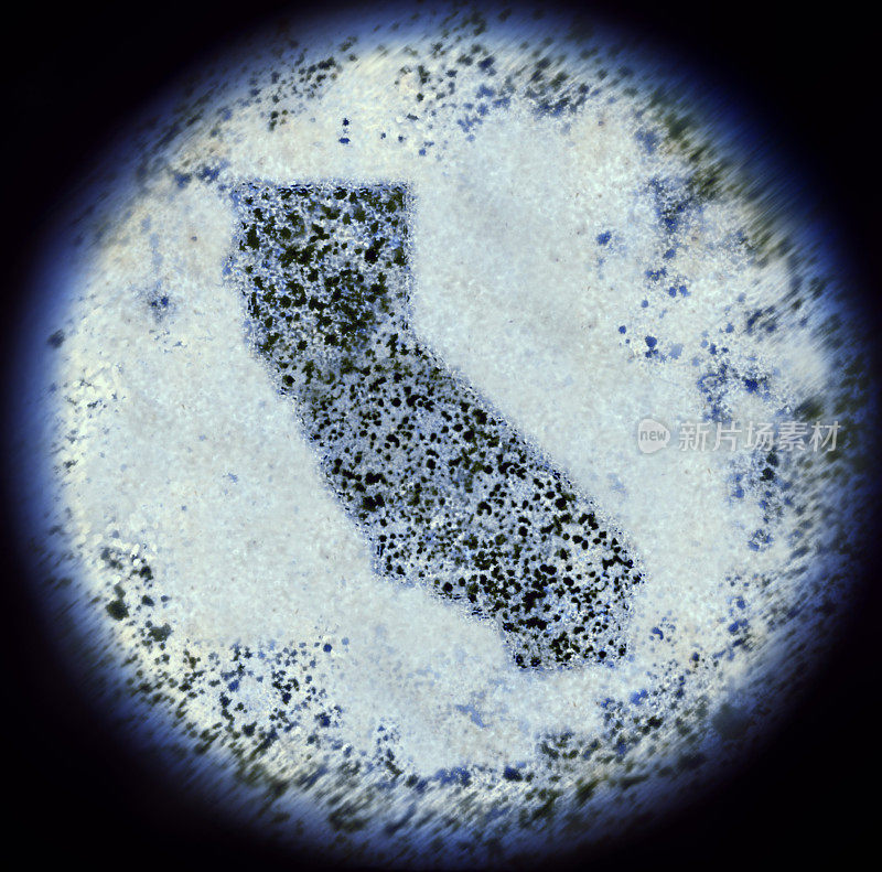 通过显微镜观察加利福尼亚形状的细菌。(系列)