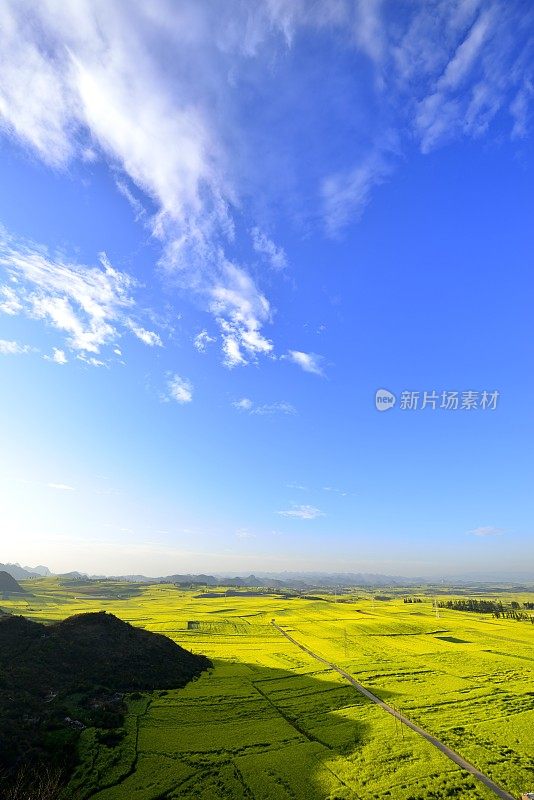 中国云南省美丽的田野