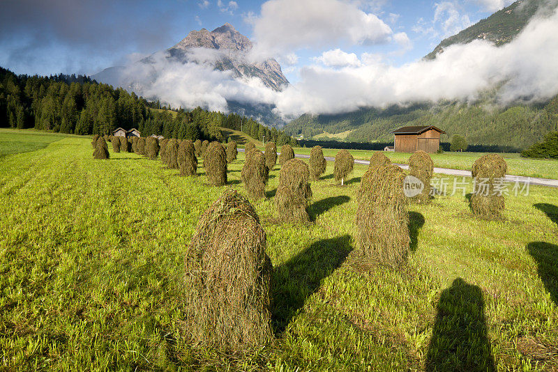 干草堆在奥地利