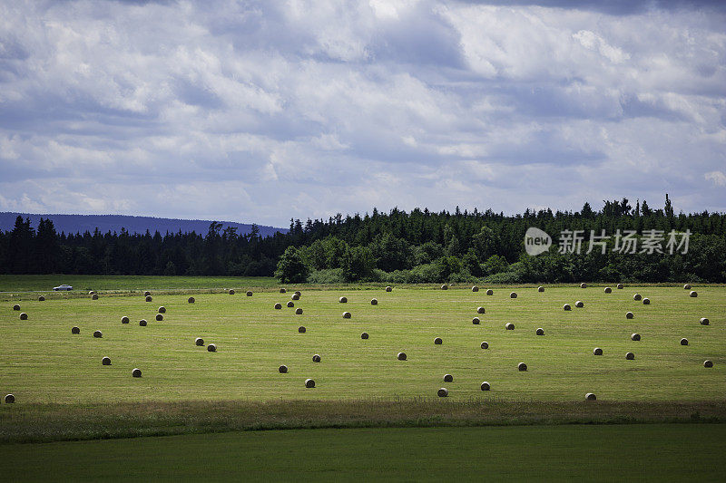 农业景观与稻草包