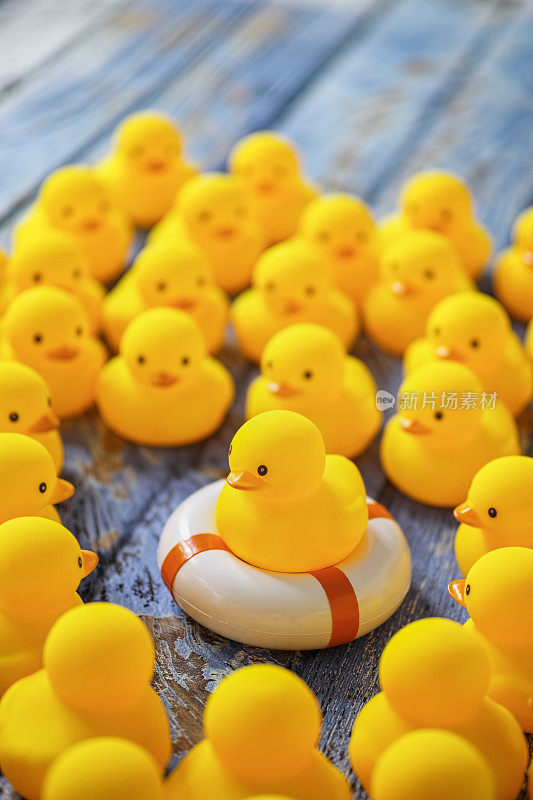 橡皮鸭聚集在一只围在救生圈上的鸭子周围。