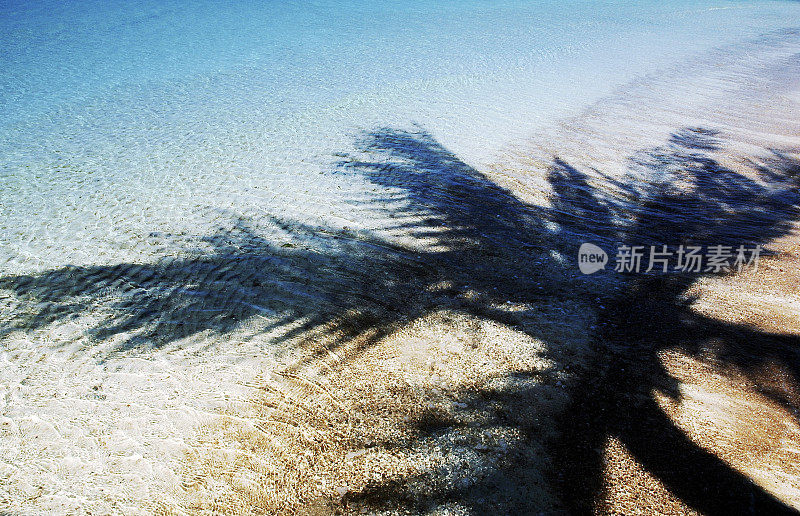热带海滩上的棕榈树阴影