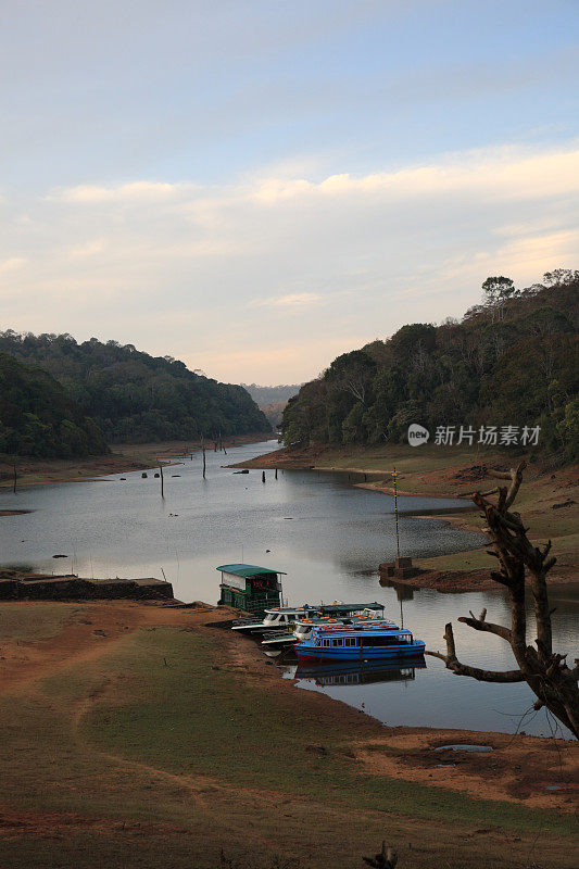 日出下的佩里亚尔湖和野生动物保护区，特卡迪，喀拉拉邦，印度