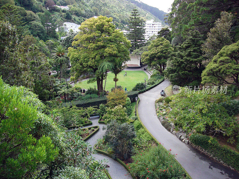 惠灵顿植物园