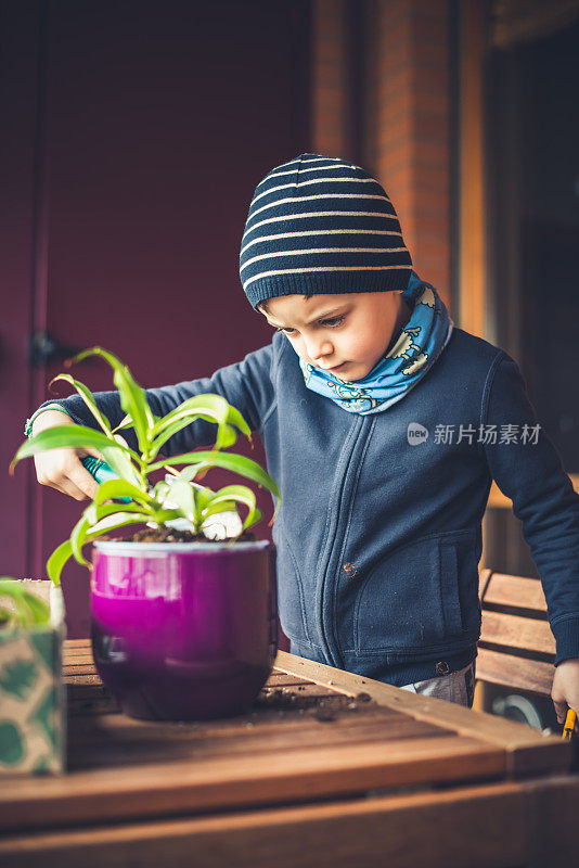 小男孩爱护一株植物