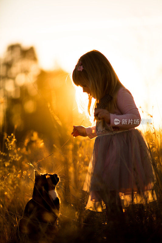 小女孩和猫在外面的剪影