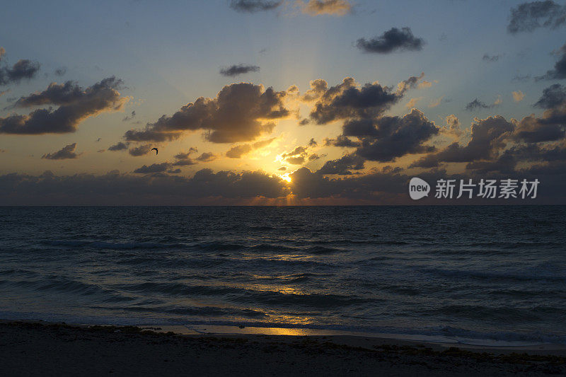 迈阿密海滩-日出