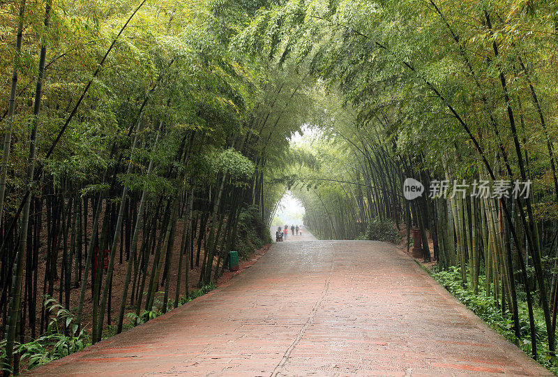 竹林和红砂石路