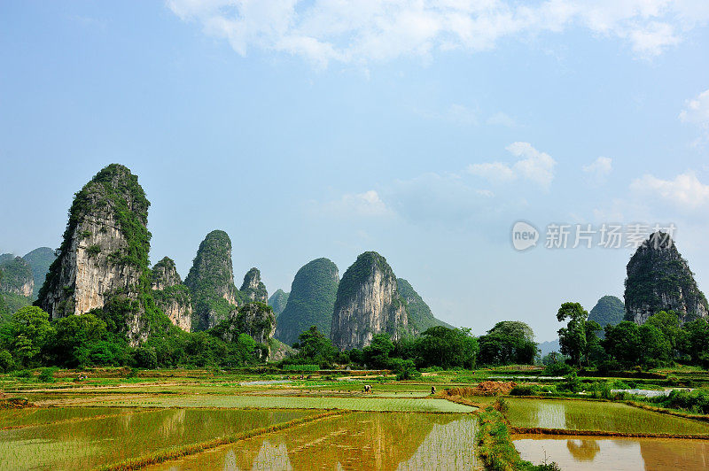 山丘和稻田