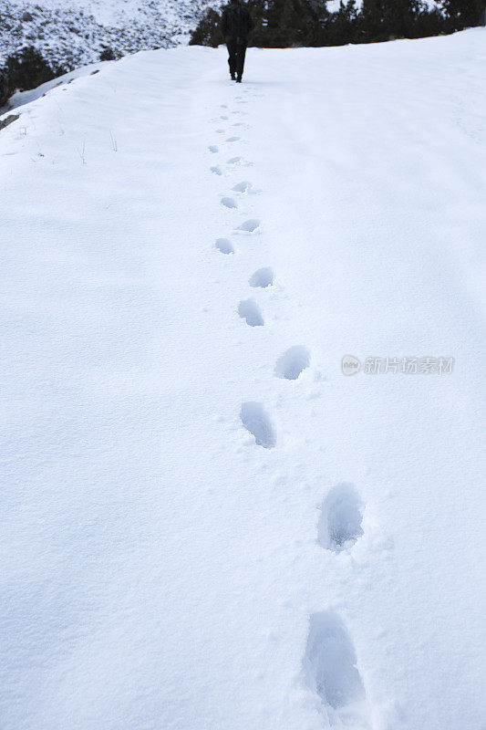 雪地上的脚印