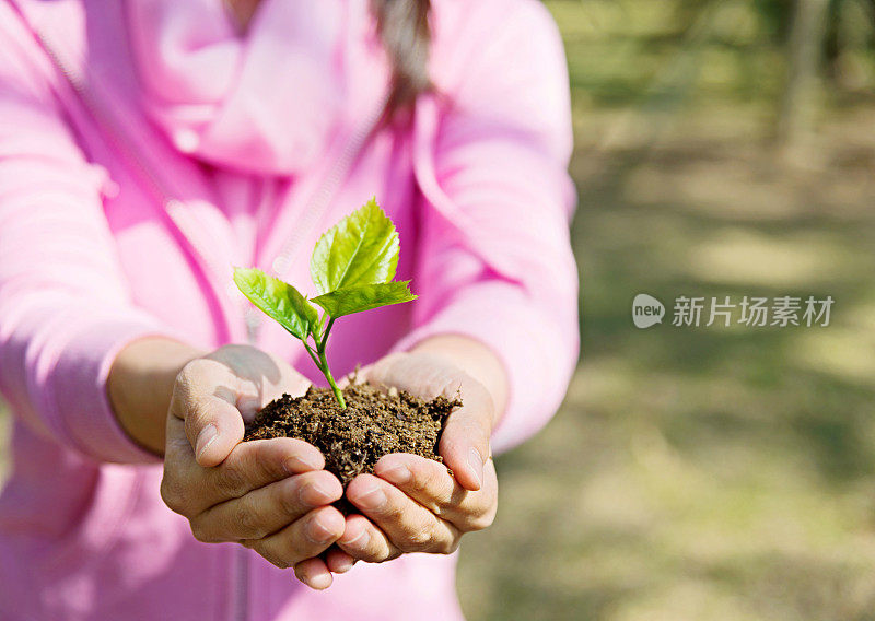 女人手里拿着一株小植物