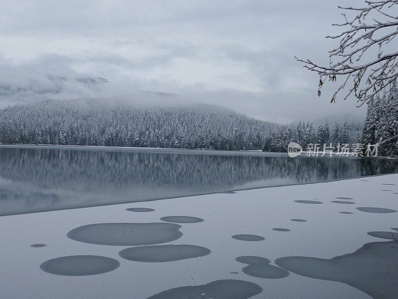 冬季景观湖