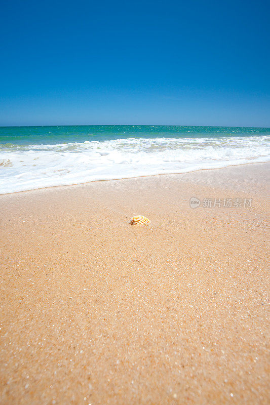 XXXL海滩，大海，贝壳