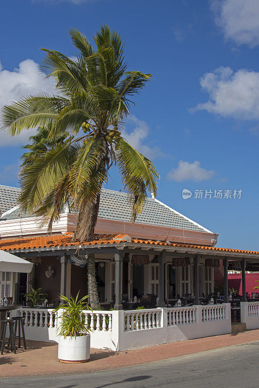 加勒比餐厅的棕榈树