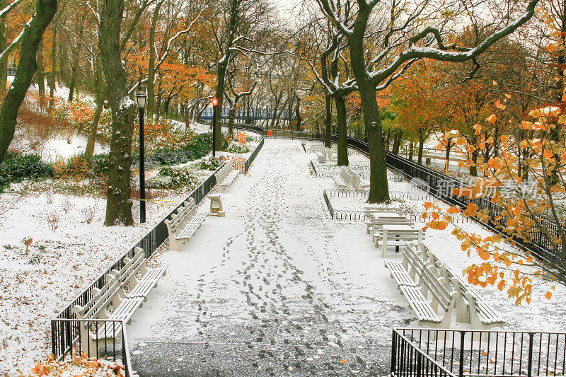 纽约第一场雪。