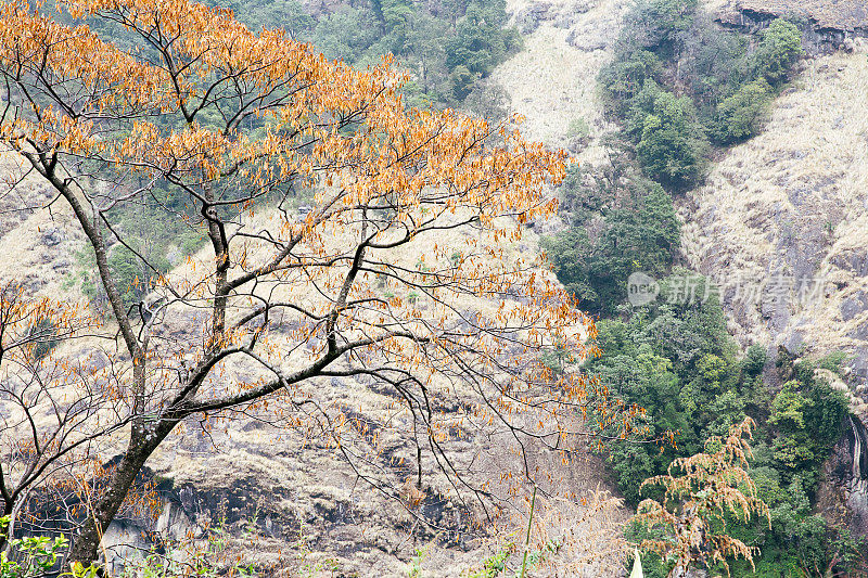 安纳普尔纳峰电路