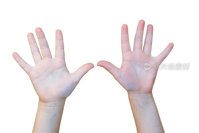 两个举起孩子的手放在白色上