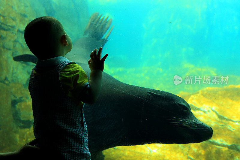 小男孩:在水族馆