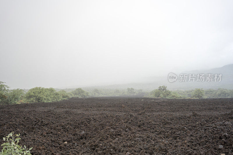 毛伊岛的熔岩场