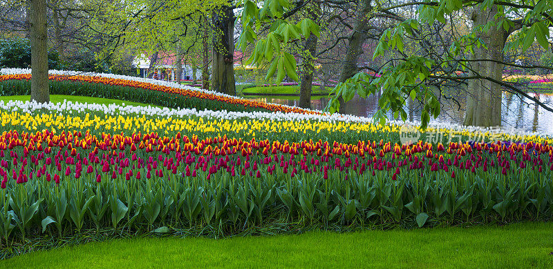 公园里的春花。