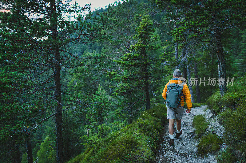 老人在山林中徒步旅行