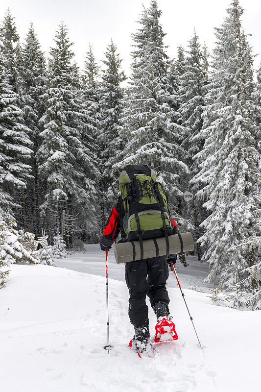 在冬季森林里背包旅行的人。