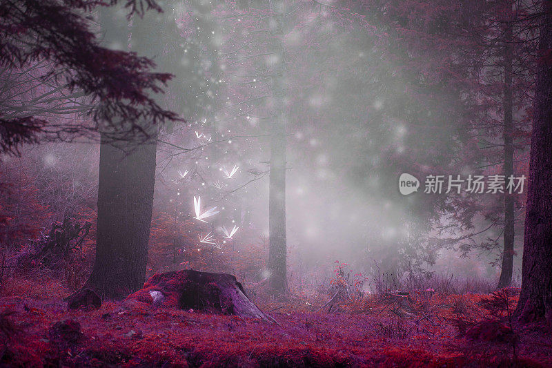 梦幻般的童话般的森林景象与魔法萤火虫，雾蒙蒙的超现实森林