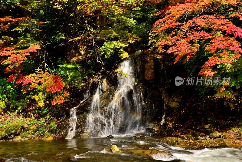 瀑布和秋叶在中野百山，黑石，青森县