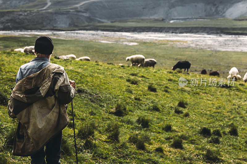 山野牧羊，后视镜。农业的概念