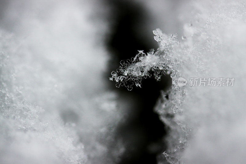 雪晶体近宏