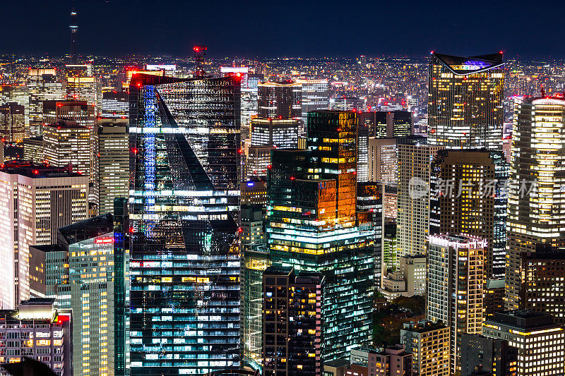 霓虹夜景下的天空树全景现代城市天际线