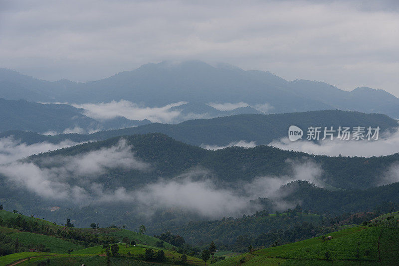 迷雾山层