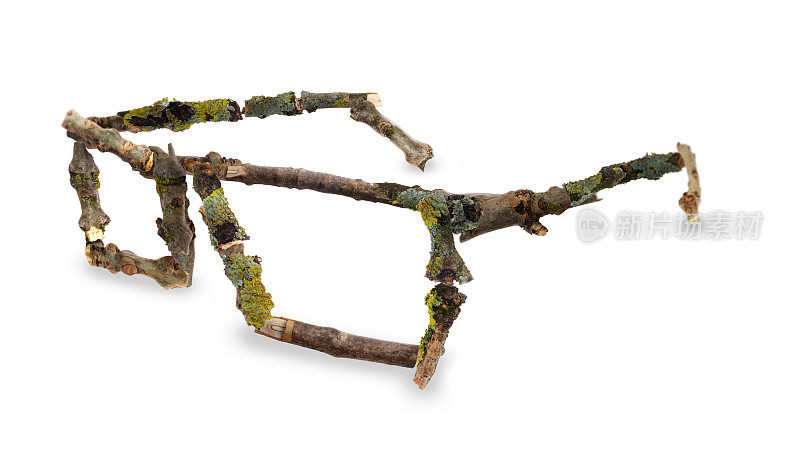 简单的一副眼镜在折断的树枝上