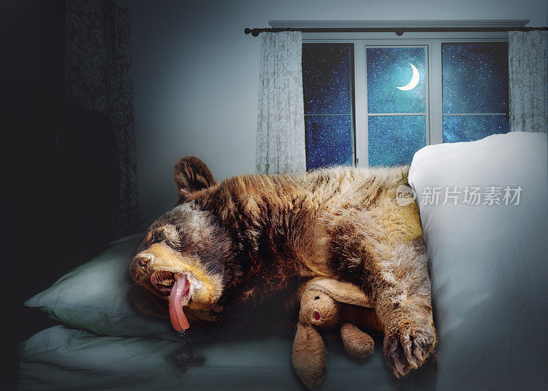 在床上睡觉的有趣的黑熊