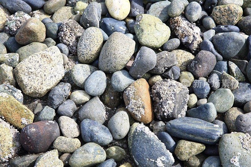 海滩上光滑的卵石