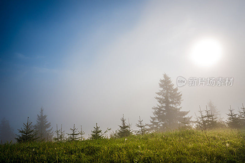 多雾的早晨的太阳