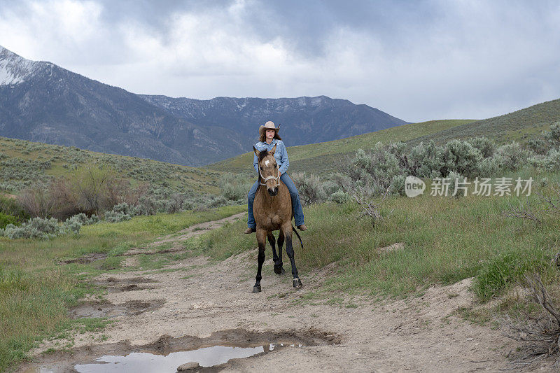 悲伤的女牛仔骑在马在农村的山区荒野
