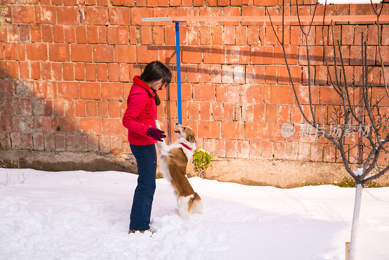 女人和狗在雪中玩耍